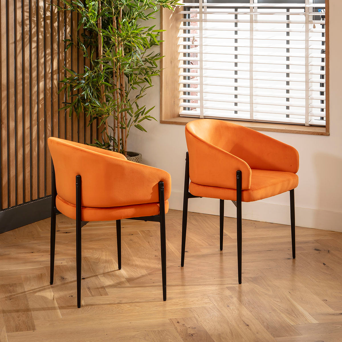 Loki Velvet Carver Dining Chair Burnt Orange